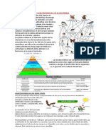 La Nutrición en Los Ecosistemas