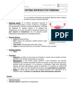 Anatomía Sistema Reproductor Femenino - Cristhian Carvajal Mery