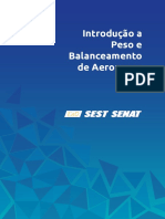 Introdução Peso Balanceamento Aeronaves