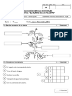 Evaluacion Cs Naturales - Las Plantas - Octubre