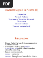 Electrical Signals in Neuron