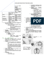 Gastrulation and Formation of Germ Layers PDF