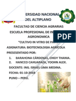 Monografia de Cultivo in Vitro de Papa.