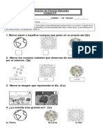 Prueba Ciclo Diario