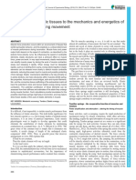 Contribution of Elastic Tissues To The Mechanics and Energetics of Muscle Function During Movement