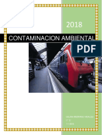 Informe Sobre El Diccionario