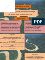 Ecosistema de La Selva