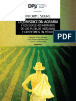 Informe Jurisdiccion Agraria Version Final PDF