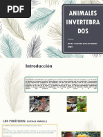 Animales Invertebrados