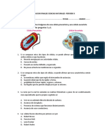 Evaluacion Finalde Ciencias Naturales Periodo Ii 6° 2018