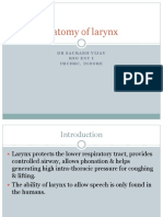 Anatomy of Larynx