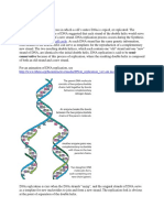 Replication, Transcription, Translation, Mutation HW