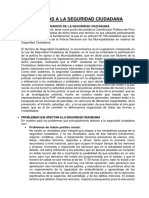 Criticas A La Seguridad Ciudadana