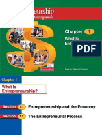 Chapter 1 What Is Entrepreneurship