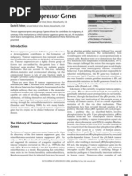 Tumour Suppressor Genes: Jeffrey M Skolnik, David E Fisher