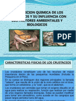 Diapositivas de Los Crustaceos