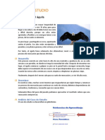 Induccion Caso Estudio U02 La Sabiduria Del Aguila PDF