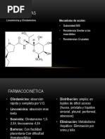 Lincosamidas