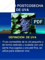 Manejo Postcosecha de Uva