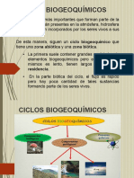 Ciclos Biogeoquímicos (C-4)