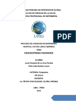 Esquizofrenia Paranoide: Proceso de Atencion de Enfermeria Hospital Victor Larco Herrera Tema