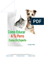 Cómo Entrenar A TU PERRO