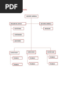 Organigrama JD Cool