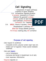 Ch11 - Cell Signaling Slides