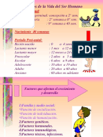 Ciclo Vital Individual