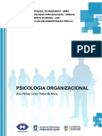 Psicologia Organizacional