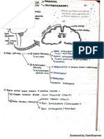 Catatan Neuro