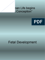 Fetal Dev, Abortion