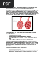 Edema Pulmonar