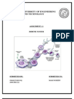 Sir Syed University of Engineering and Technology: Assignment # 1 Immune System