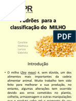 Classificação de Grãos