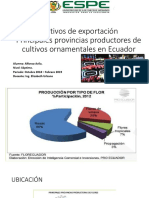 Provincias Productoras de Flores