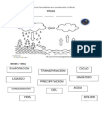 Material Recortable Ciclo Del Agua