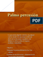 PALMOPERCUSION