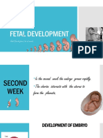 Fetal Development: Fetal Growth From 8 To 40 Weeks