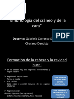 Clase 2 Embriología Del Cráneo y de La Cara