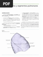 Lóbulos y Segmentos Pulmonares