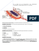 Componentes Celula Bacteriana