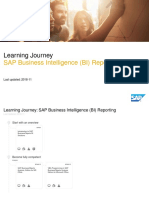 SAP Business Intelligence (BI) Reporting - 2018-11