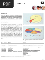 Soft Tissue Tumors: 13.3. As Can Be Seen, Soft Tissue Sarcomas Can Arise From Almost