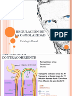 Mecanismo A Contracorriente-RENAL