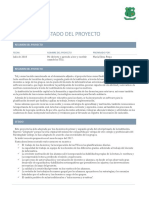 Informe Estado de Un Proyecto