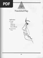 5C - Nasolabial Flap