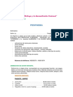 Proforma 15 Años