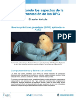 3 - BPG Sector Avícola PDF