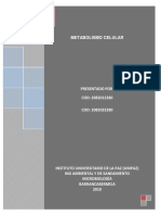 Monografia de Metabolismo Celular 2 PDF